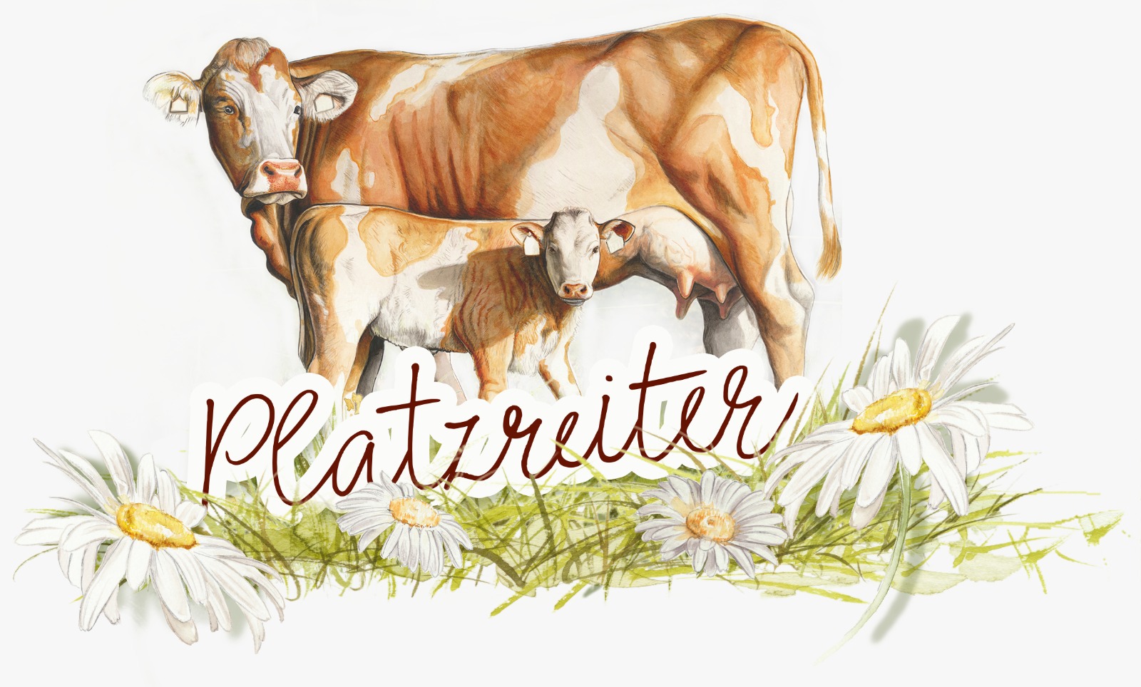 You are currently viewing Jetzt hat unsere Homepage bereits ein Titelbild